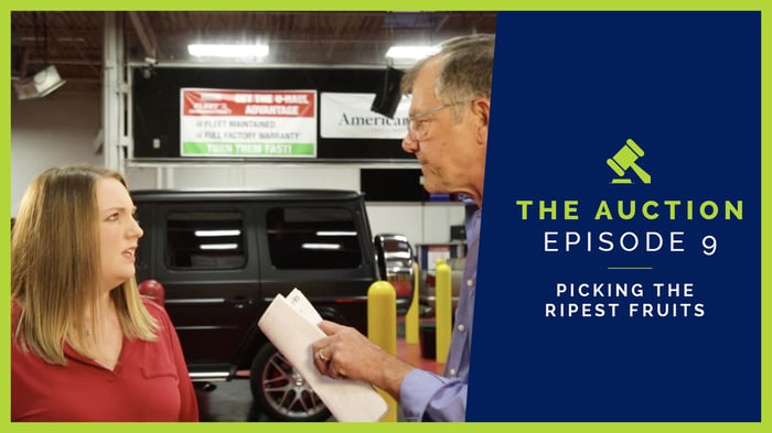 The Auction, Episode 9. Pick the Ripest Fruits